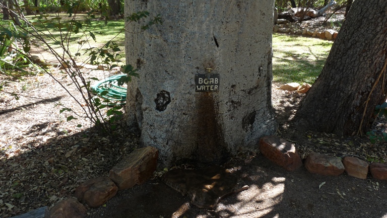 Boab Water
